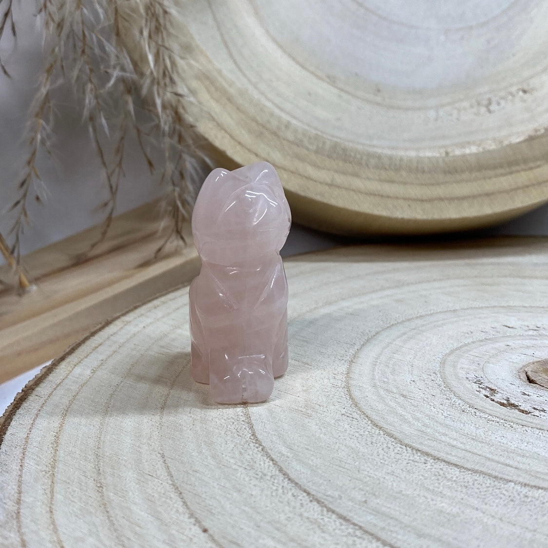 Chat Quartz rose