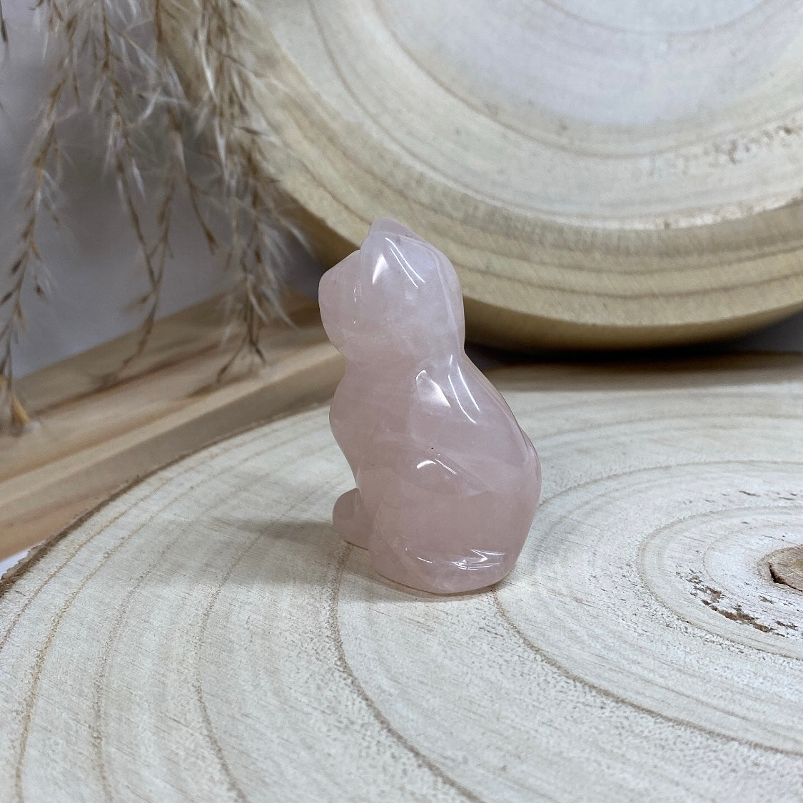 Chat Quartz rose